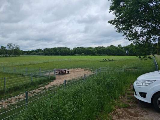 Hundeauslaufgebiet-Olfen am Alten Postweg-Bild