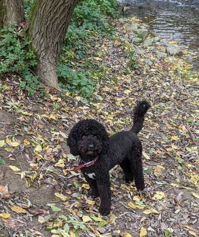 Was würdest du jetzt anders machen?-Beitrag-Bild