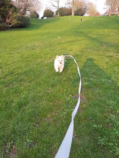 Fotochallenge No. 26                                     Wald und Wiese-Beitrag-Bild