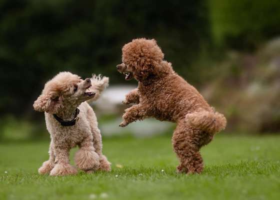 42.Fotochallenge - Eure schönen Momente beim Spaziergang-Beitrag-Bild