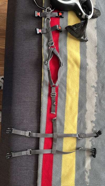 TierschutzhundeStammtisch🐕-Beitrag-Bild