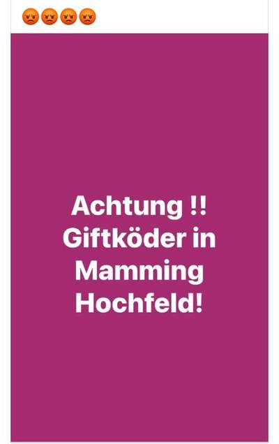 Giftköder-Giftköder-Bild