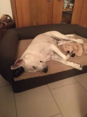 Die unbequemsten und lustigsten Schlafpositionen-Beitrag-Bild