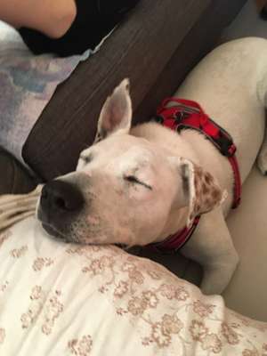 Die unbequemsten und lustigsten Schlafpositionen-Beitrag-Bild