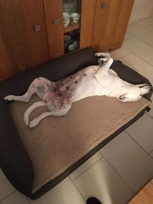 Die unbequemsten und lustigsten Schlafpositionen-Beitrag-Bild