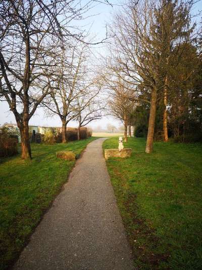 Dein Hund im Dogorama-Kalender 2021-Beitrag-Bild