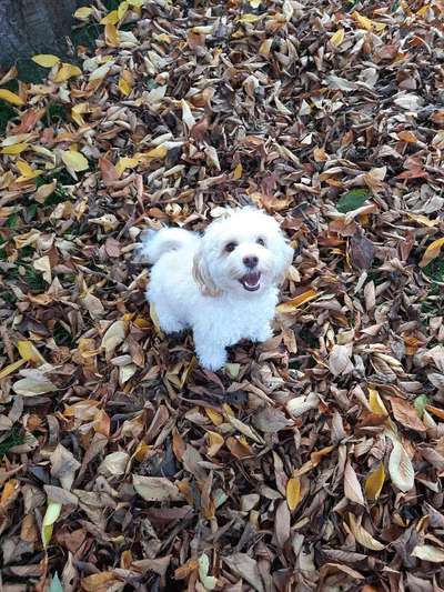 Zeigt eure Portraits-Beitrag-Bild