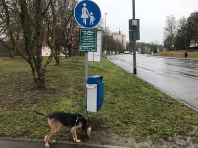 Hundeauslaufgebiet-Versbach-Bild