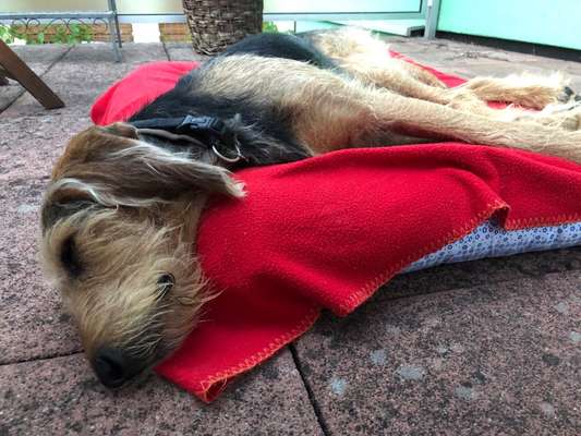 CHALLENGE NR. 34 - Liege-/Schlafpositionen-Beitrag-Bild