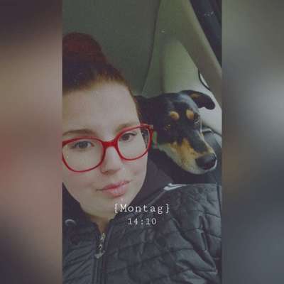 Hundetreffen-Gassifreunde gesucht-Profilbild