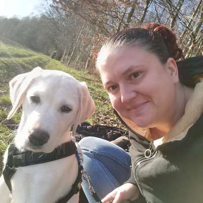 Hundetreffen-Junhundetreffen Spaziergang-Profilbild