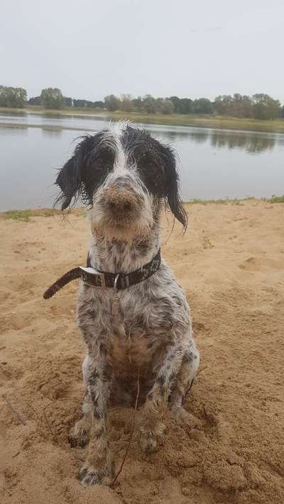 Zeigt mir doch mal eure Dreckspätze-Beitrag-Bild