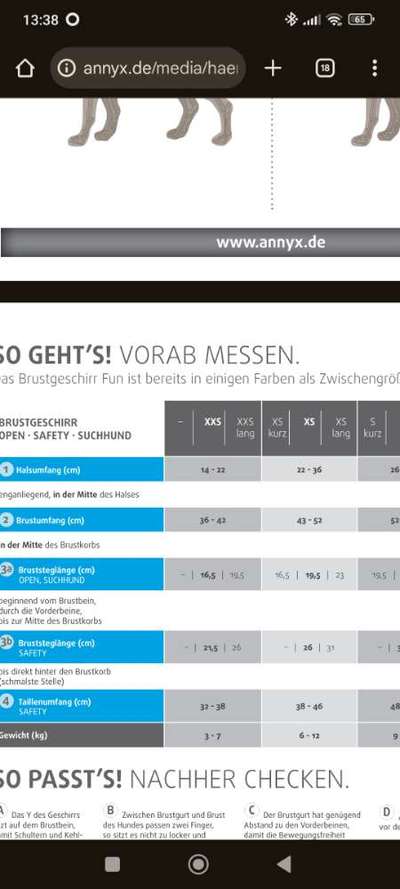 anny•x Geschirr XS-Beitrag-Bild