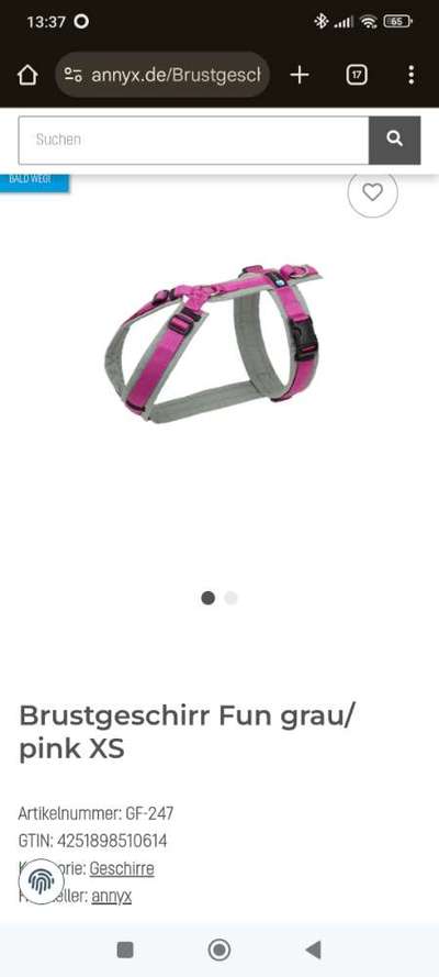 anny•x Geschirr XS-Beitrag-Bild