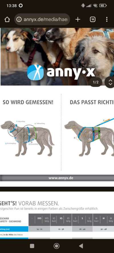 anny•x Geschirr XS-Beitrag-Bild