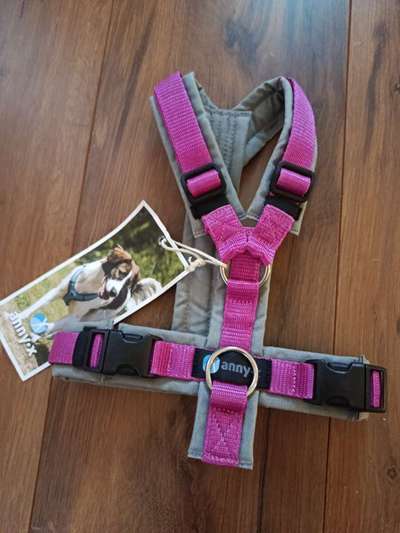 anny•x Geschirr XS-Beitrag-Bild