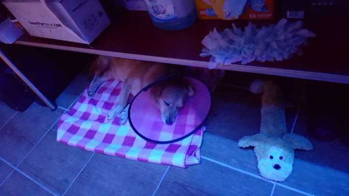 Zeigt her...-Beitrag-Bild