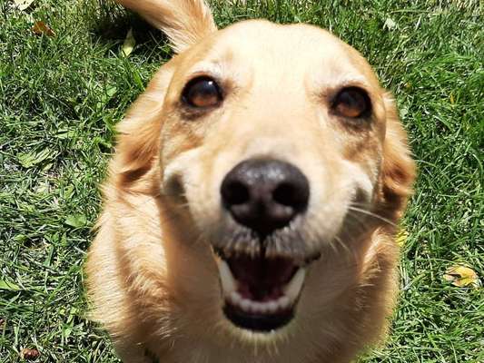 Von oben-Beitrag-Bild