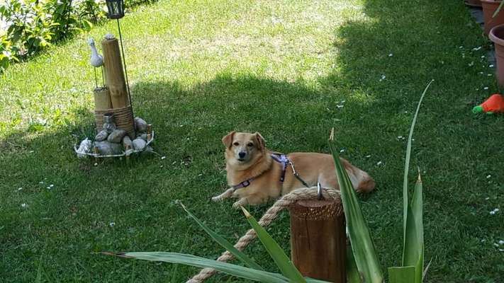 Fotowettbewerb Natur-Beitrag-Bild