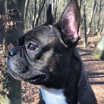 B's Profilbild