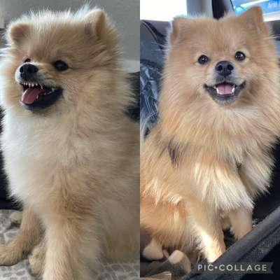 Sie werden so schnell groß!-Beitrag-Bild