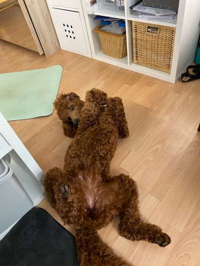 FOTO-Challenge  NR. 91: Die pure Entspannung-Beitrag-Bild