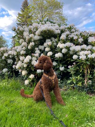 Foto-Challange No.1 - Alles aber nicht die Kamera-Beitrag-Bild