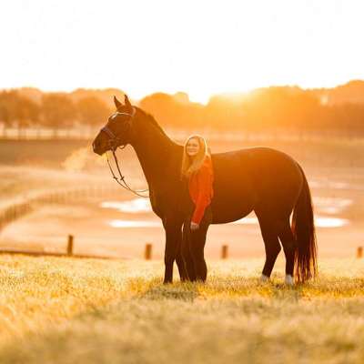 %{de_profession_title}-DU & DEIN VIERBEINER-Bild