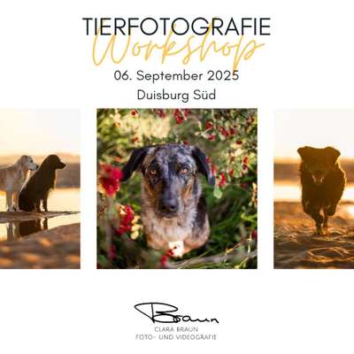 %{de_profession_title}-Fotografie Workshop-Bild