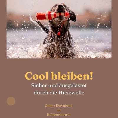 Giftköder-Cool bleiben! Online Kursabend-Bild