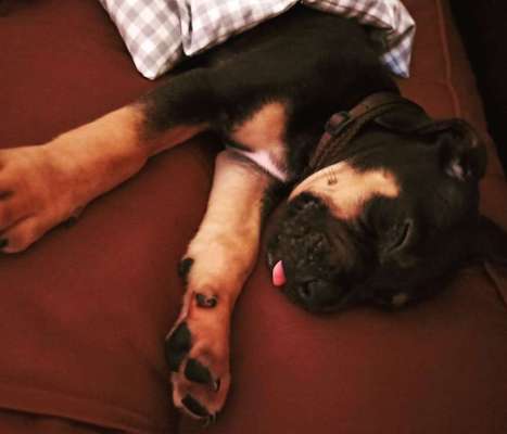 Lieblings Schnappschuss?-Beitrag-Bild