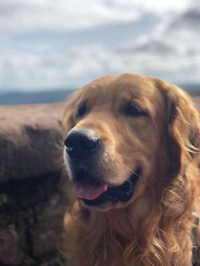 Dogorama Photo Challenge - Der Frühling kommt-Beitrag-Bild