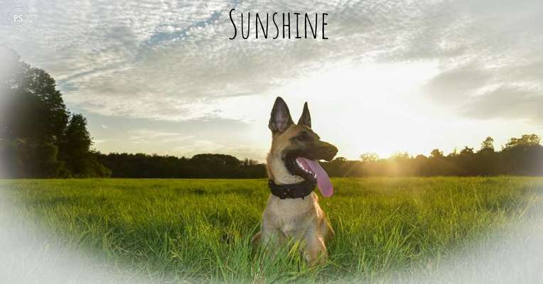 Lieblingsbild-Beitrag-Bild