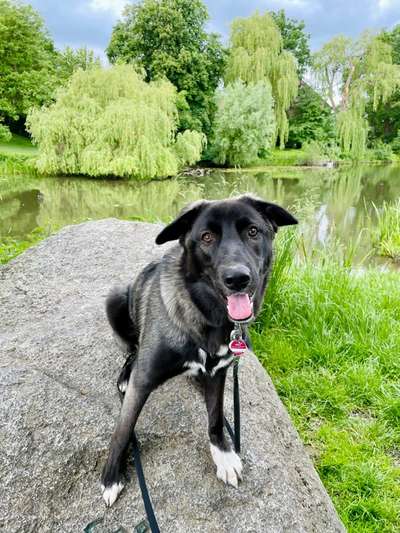 Lieblingsbild-Beitrag-Bild