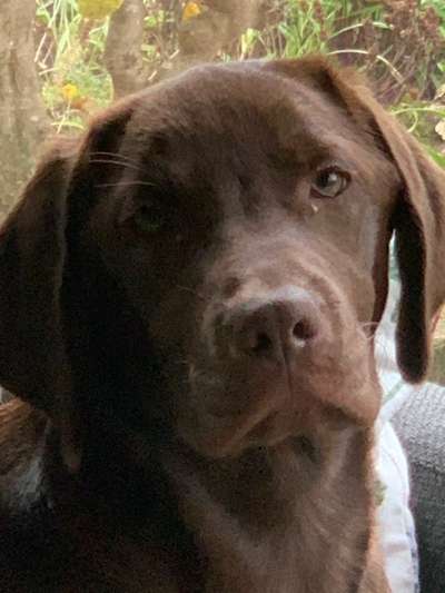 Fotochallange Nr. 57     PORTRÄT.   Beendet!!!!!!!!-Beitrag-Bild