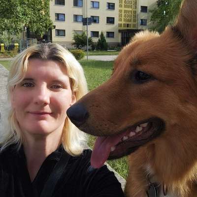 Hundetreffen-Waldwanderung-Profilbild