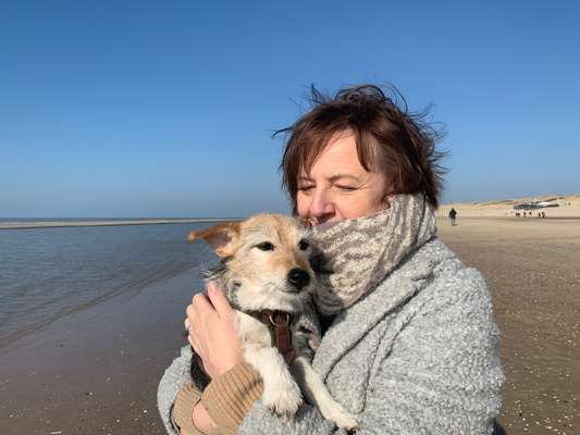 Hundetreffen-spazieren mit *älteren*Hunden-Bild
