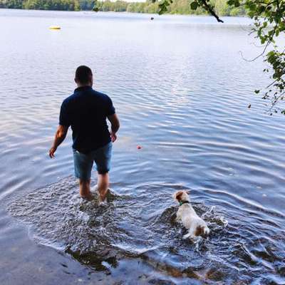 Hundetreffen-Playdate for dogs