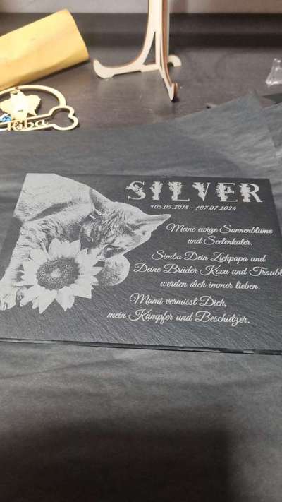 %{de_profession_title}-Grabplatten aus Schiefer mehrere Größen-Bild