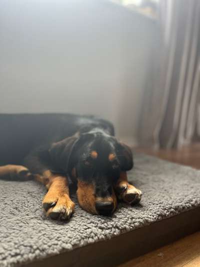 Unsicherheit - Wie die Selbstsicherheit stärken?-Beitrag-Bild