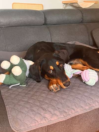 Unsicherheit - Wie die Selbstsicherheit stärken?-Beitrag-Bild