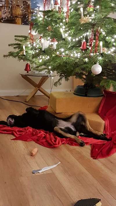 27. Handy Fotochallenge-Beitrag-Bild