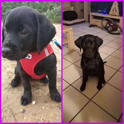 Vorher.... Nachher-Beitrag-Bild