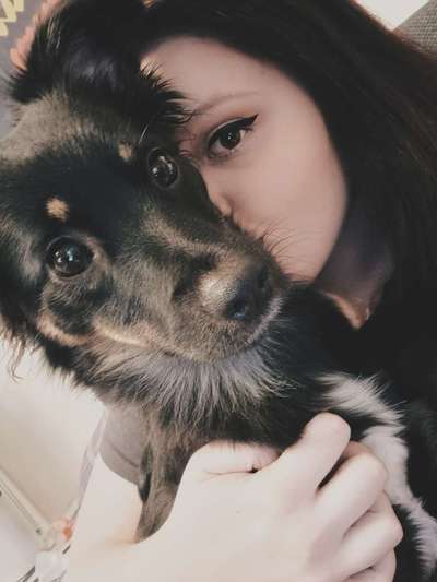 Hundetreffen-Suche Hilfe bei (angstbellen) an der Leine wen Menschen oder Hunde vorbeilaufen-Bild