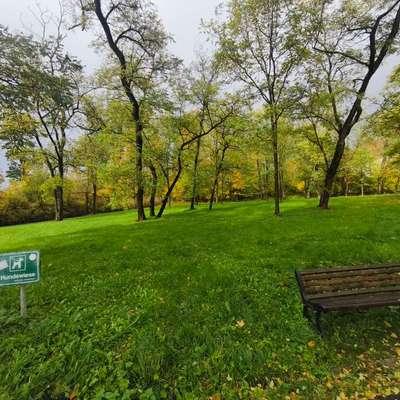 Hundeauslaufgebiet-Hofgarten Coburg-Bild