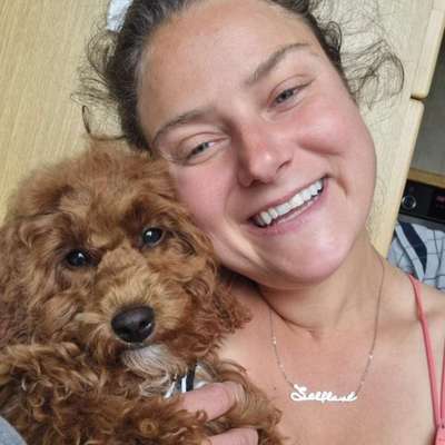 Hundetreffen-Welpen-Treffen-Bild