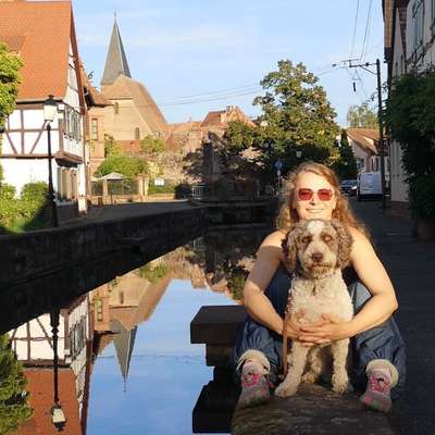 Hundetreffen-Gemeinsames Gassi gehen und Spielen-Profilbild