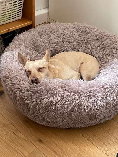 Erfahrung mit Wolkenbett-Beitrag-Bild