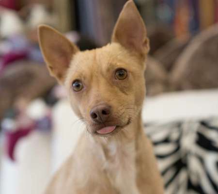 Lieblingsbild-Beitrag-Bild