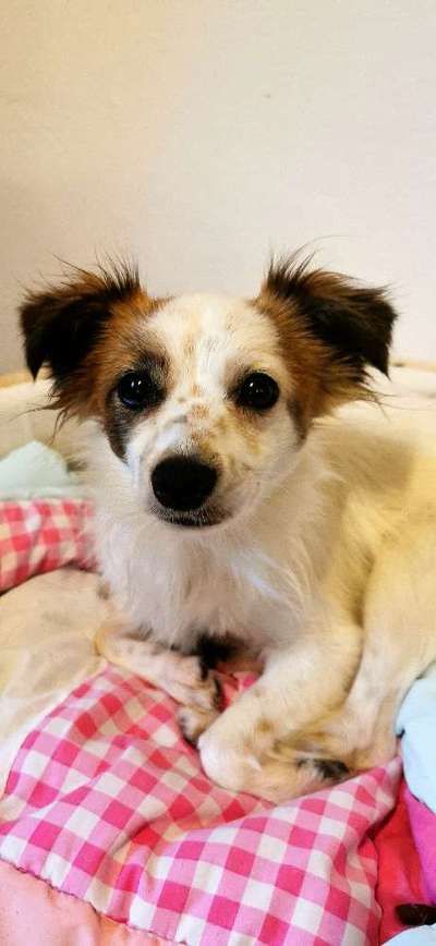 Lieblingsbild :D-Beitrag-Bild